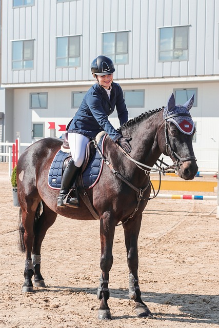 equipo de educadores financieros trabajando con materiales didacticos